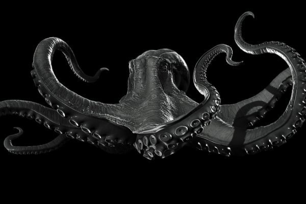 Kraken зеркала gigageek ru