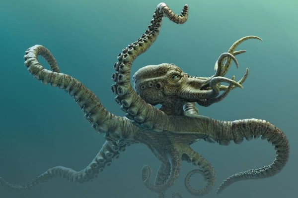 Кракен сайт официальный kraken clear com