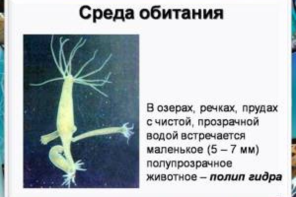 Скрытый интернет как войти