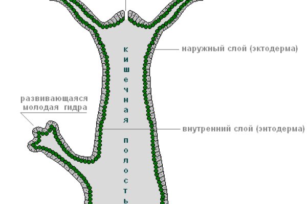 Кракен маркет darknet