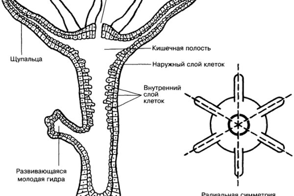 Кракен сайт вход официальный зеркало
