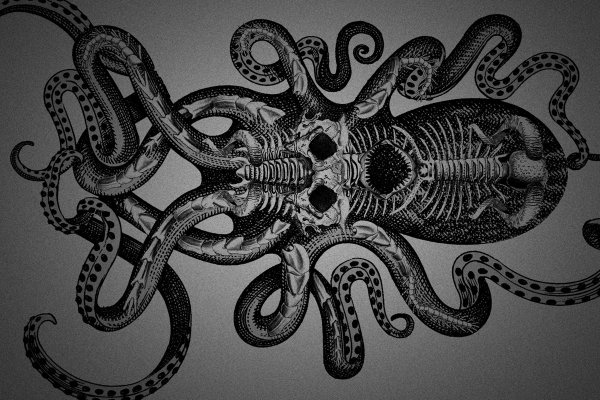 Кракен сайт krknwebs