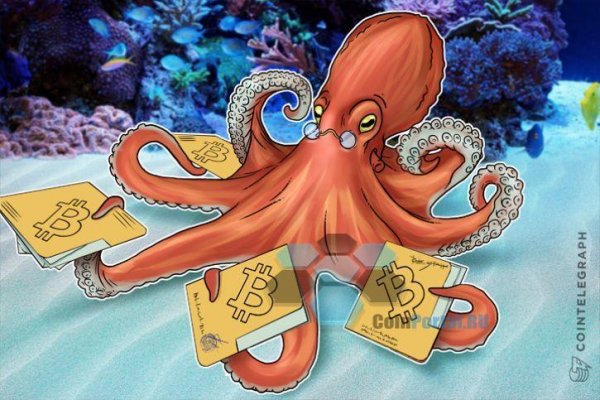 Kraken 22 аt