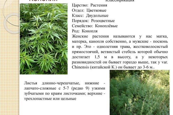 Кракен даркнет маркет ссылка тор
