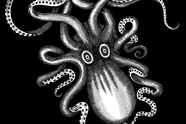 Craken12 at